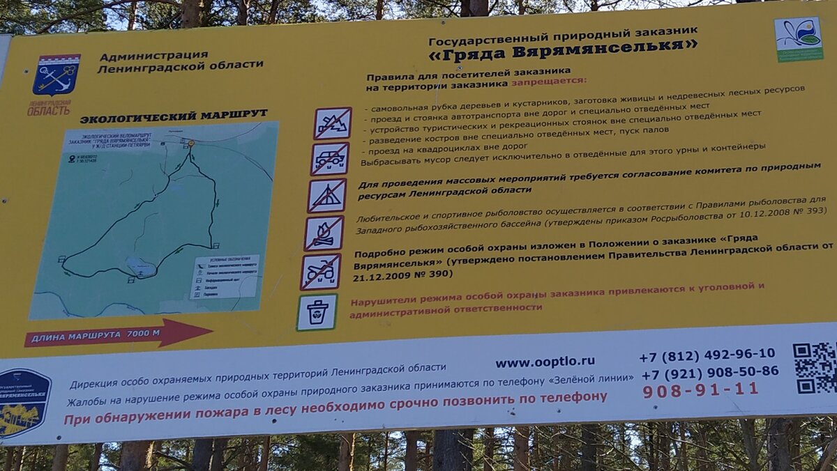 Если идти по 7-килиметровому маршруту, то не увидите финскую дамбу. А она тут самое интересное.