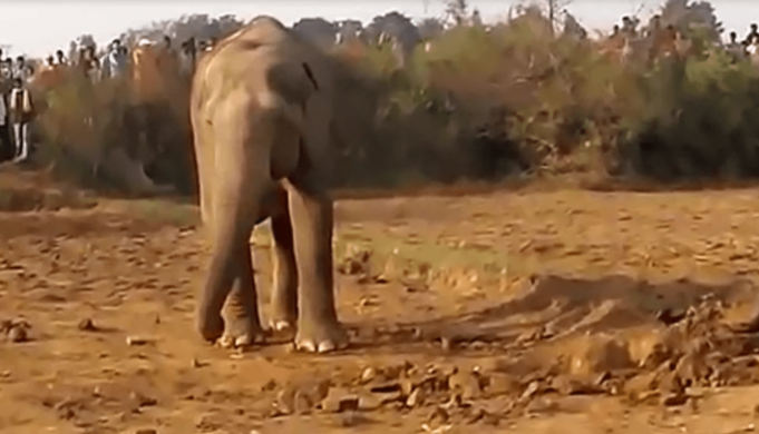 Не смогла остаться равнодушной к этой истории и, хочу поделиться ей с вами.-10