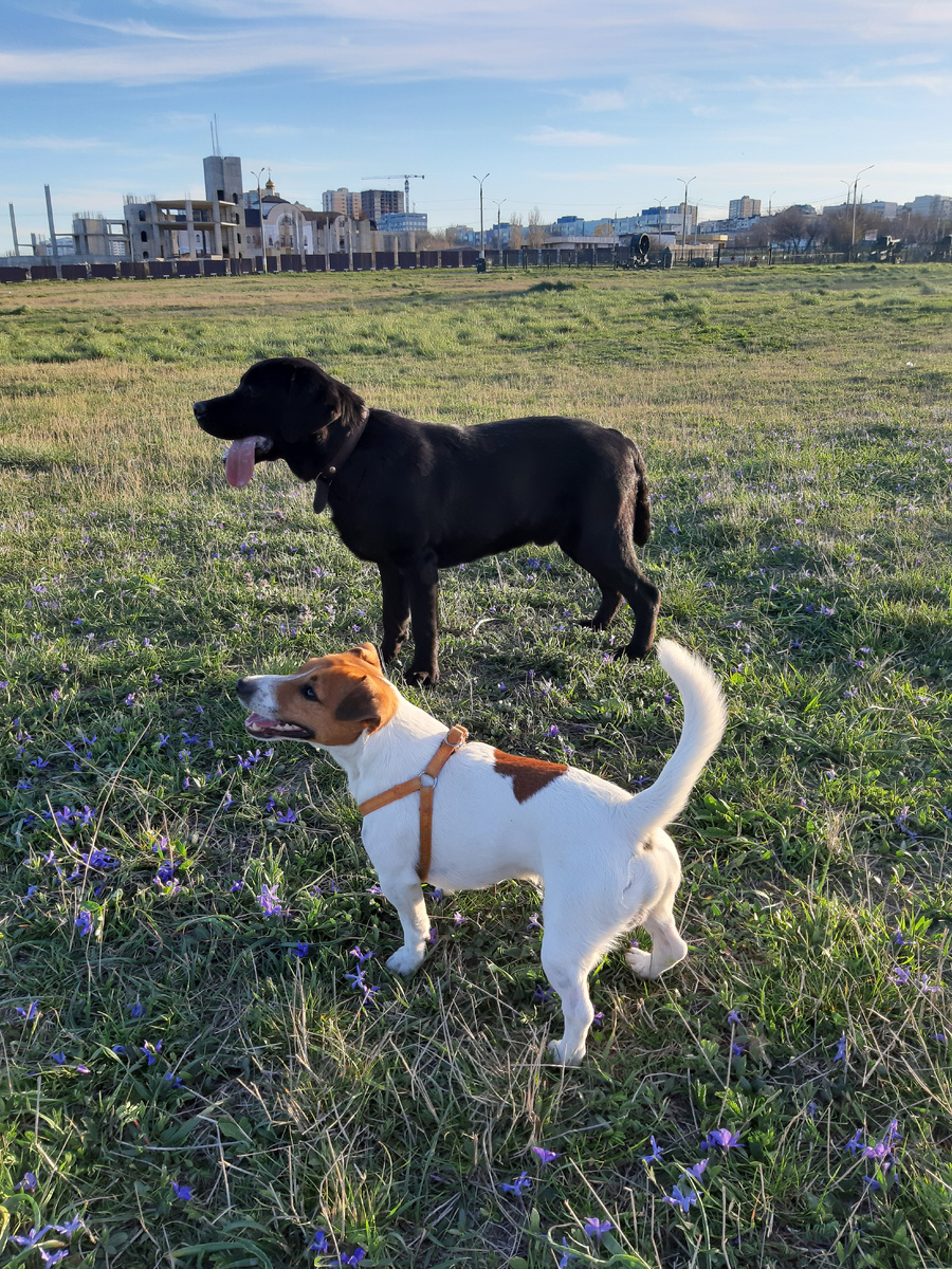 Краснодарский край, г.Новороссийск