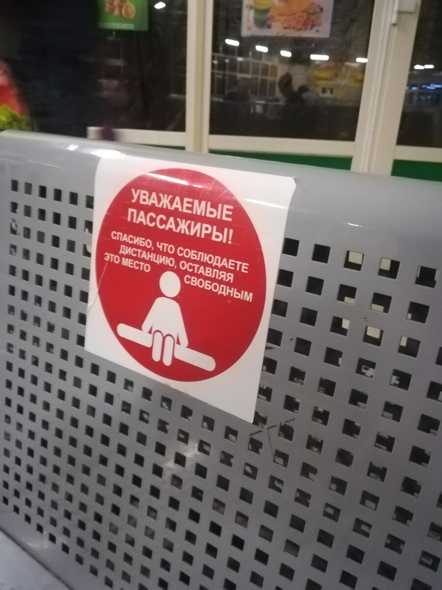 Личное фото автора 