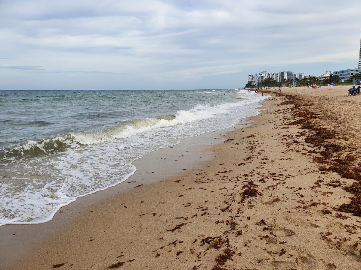 Смотрим на юг