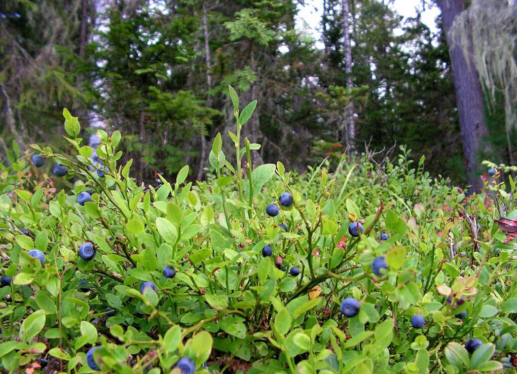 Совсем недавно - было