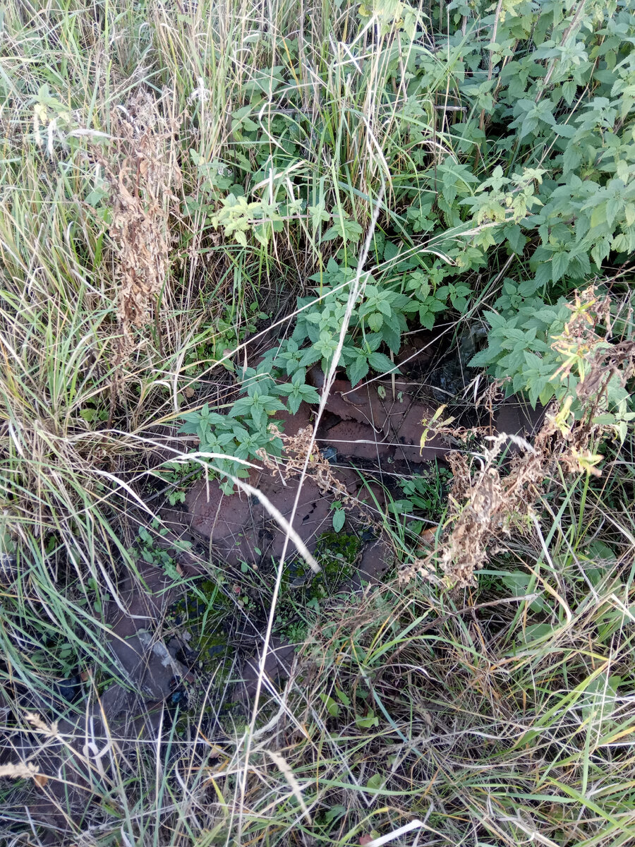 А вот оно - железо!))