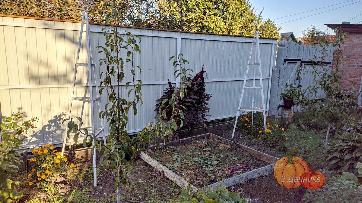 Я очень довольна опорами для помидор, которые мне сделал муж.