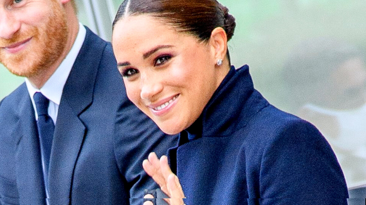 Roy Rochlin / Stringer