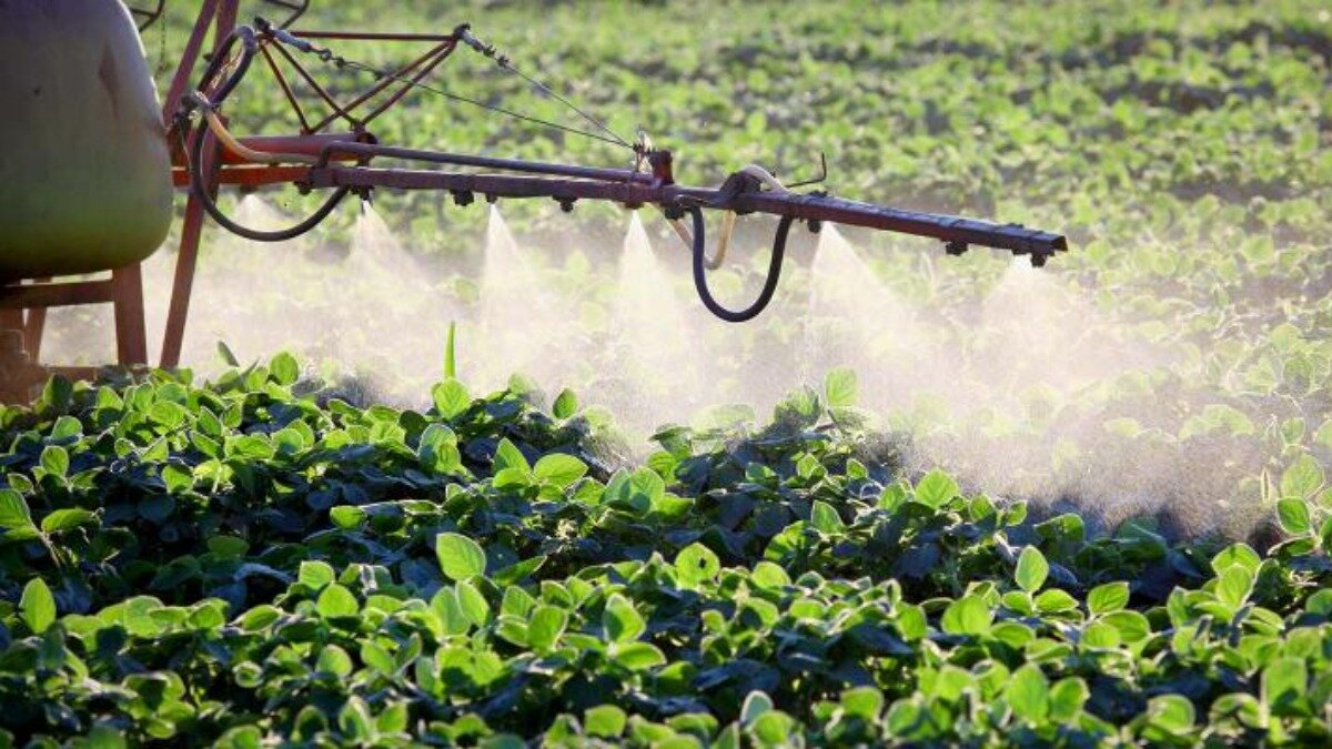 Фото:www.farmprogress.com Ученые определили реакцию сои на внекорневую подкормку