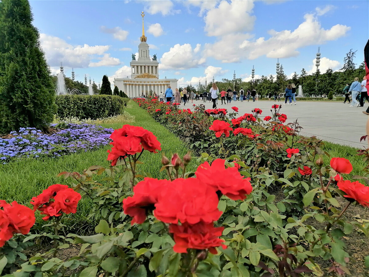 Вид на ВДНХ