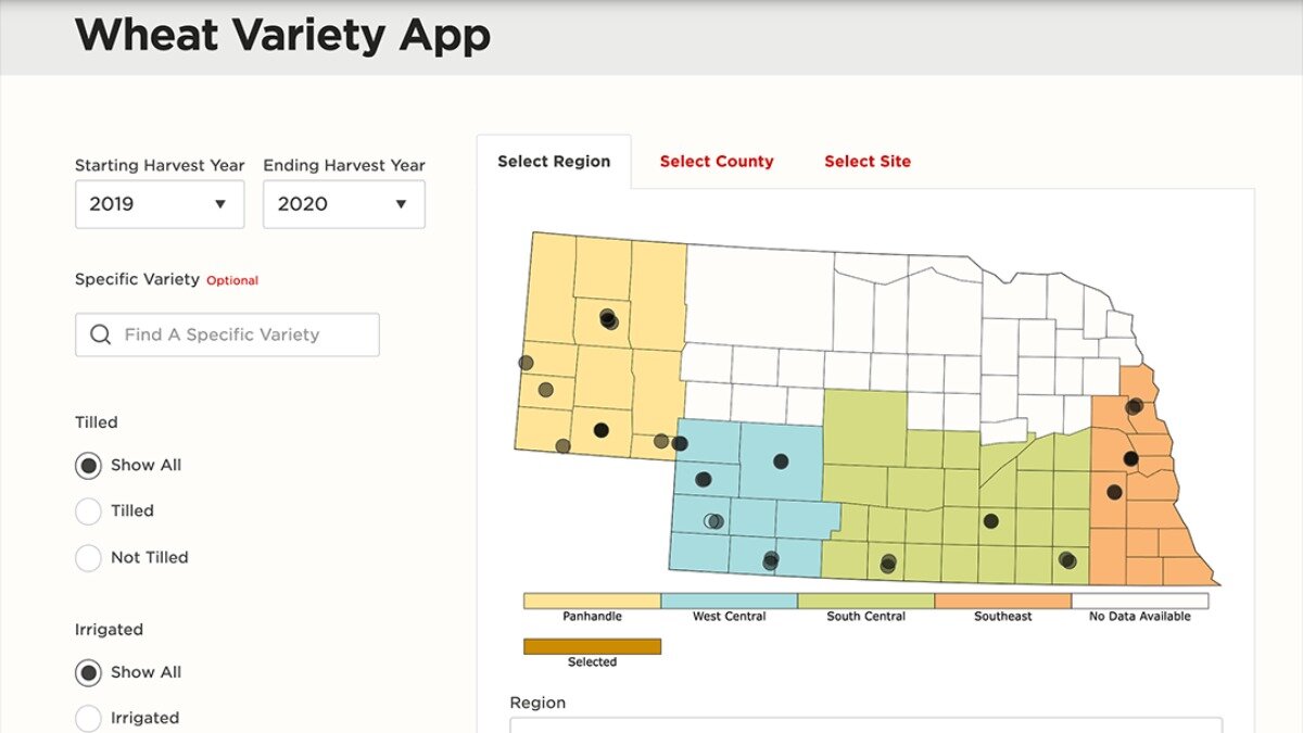 Фото:cropwatch.unl.edu Приложение «Сорта пшеницы» (Wheat Variety App)