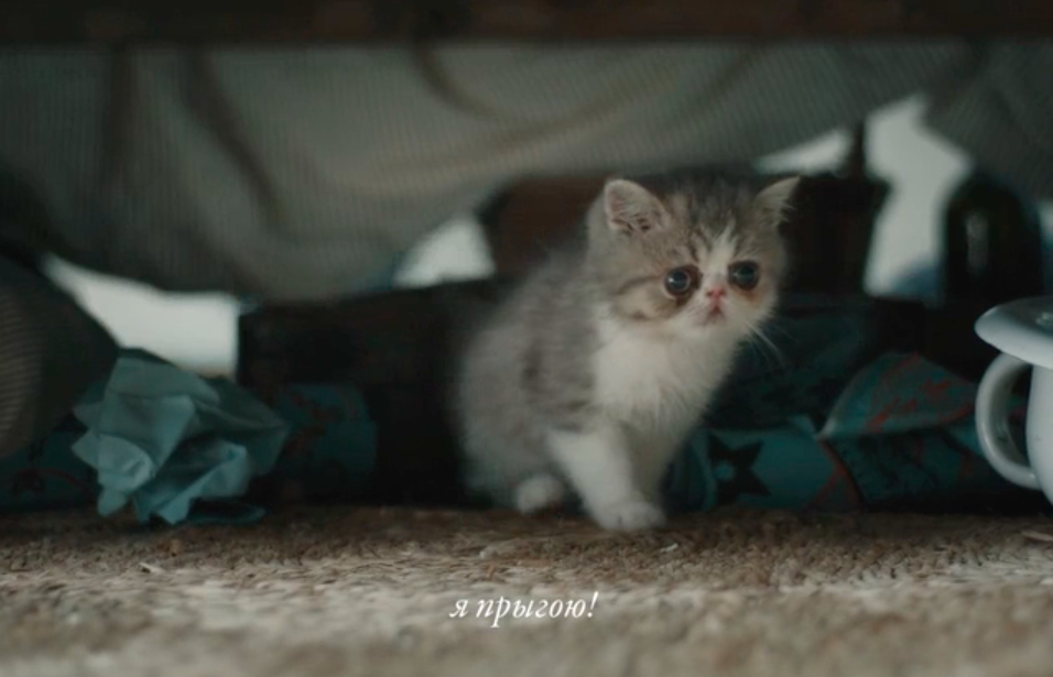 Просто гляньте на эту милоту, как можно не захотеть посмотреть фильм, после того, как увидишь такое :3 