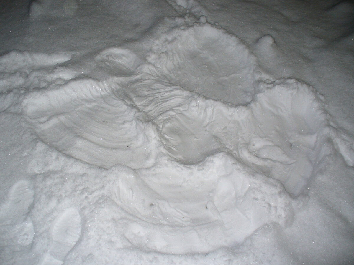 Ангел в исполнении Глеба)