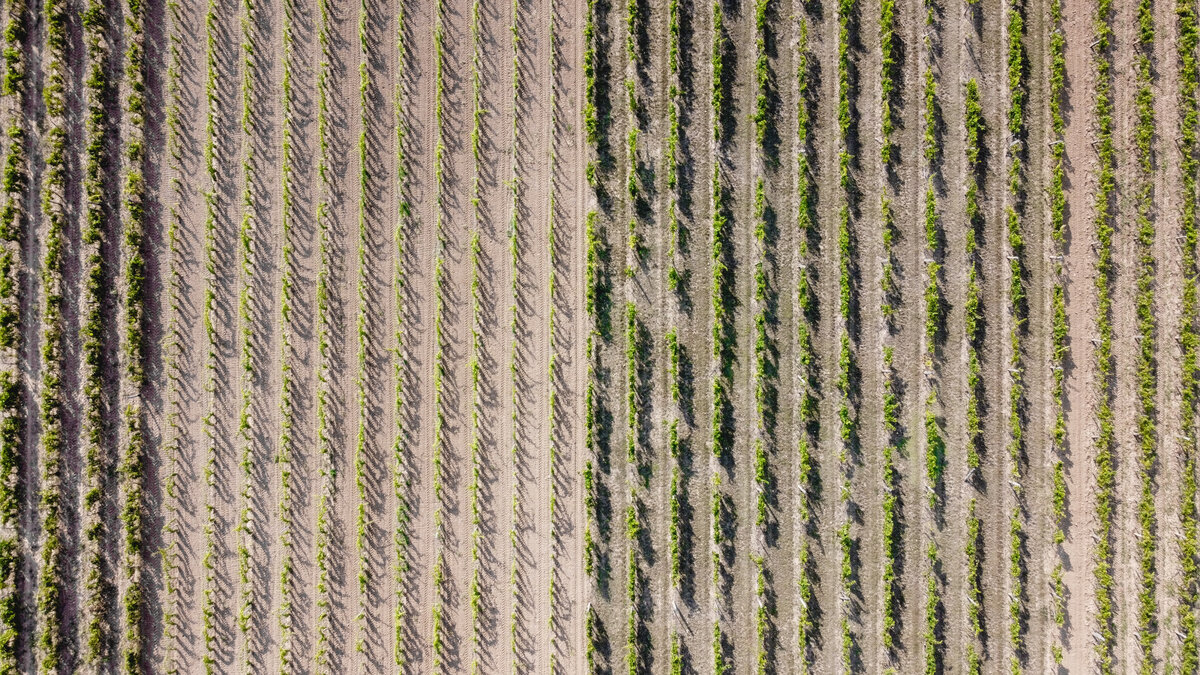 Фото: © Urkan/Unsplash