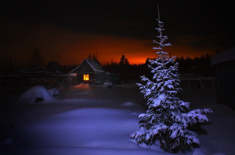 Фото из свободного доступа сети Интернет