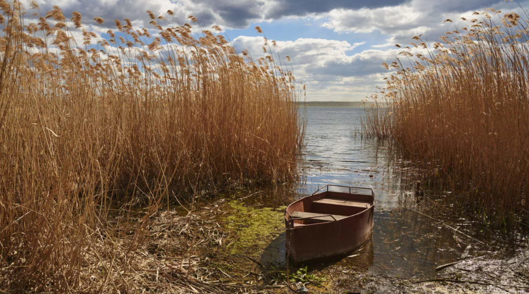 Фото с сайта photocentra.ru