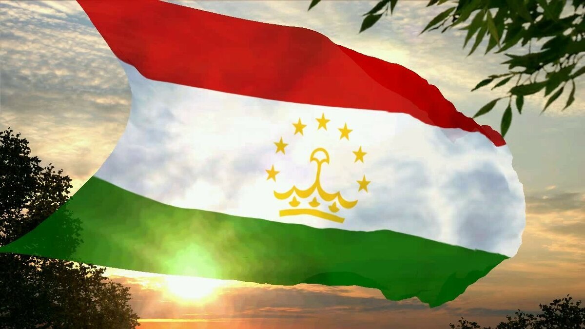 купить регистрацию в Москве официально