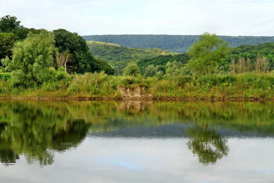 Заповедные леса "Кодры". Местность холмистая. Источник фото: moldovenii.md