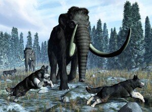 
Какое определение слова «собака» дает нам наука? Собака – это  млекопитающее, хищное животное семейства псовых. Это домашнее животное —  самое распространенное наряду с кошками.
 