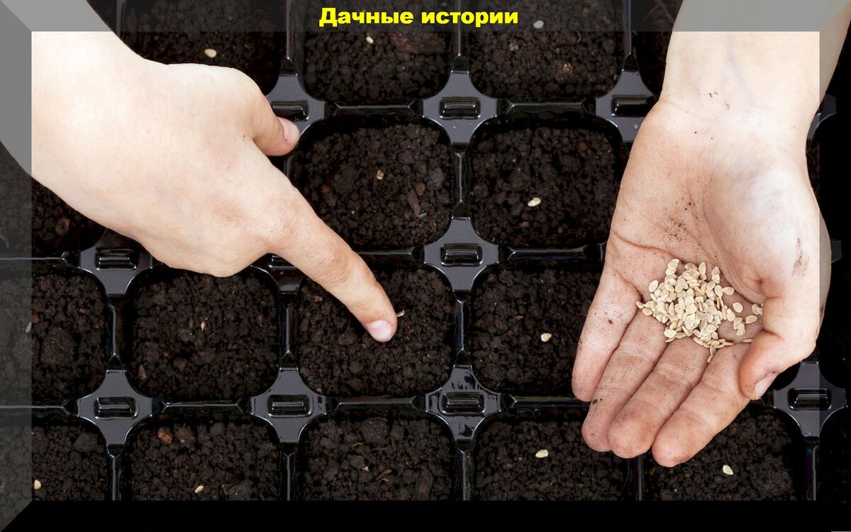 https://vk.com/photo-159774511_457250711