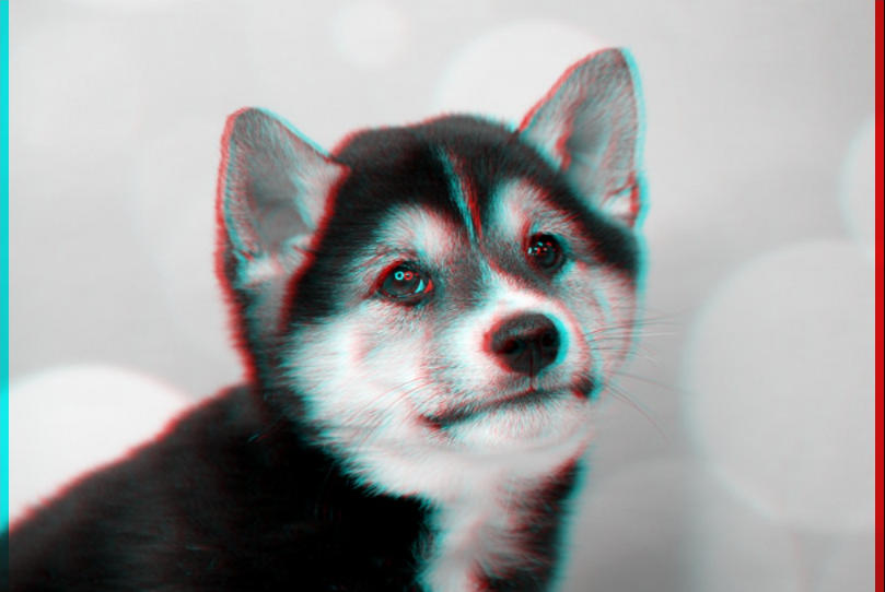 Shiba Inu (SHIB) продолжает падение
