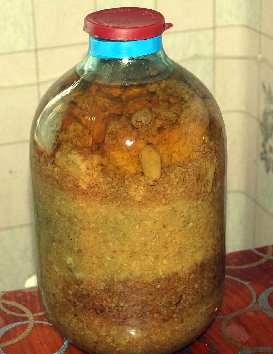 Внизу яблочный жмых, которые полежал на воздухе около часа, окислился и потемнел. Выше жмых, который в свежем виде закладывался в водку, поэтому лучше не держать жмых на воздухе.