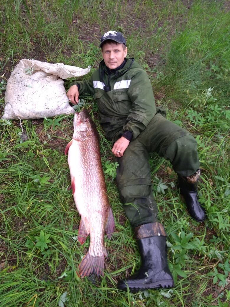 она мне выше пояса!!!!