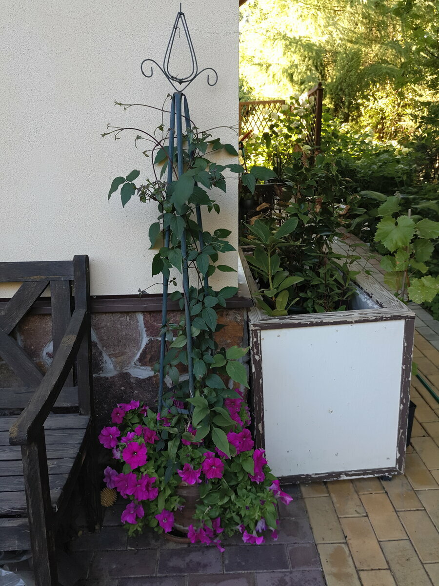 Простейшейшая контейнерная композиция у нас на террасе