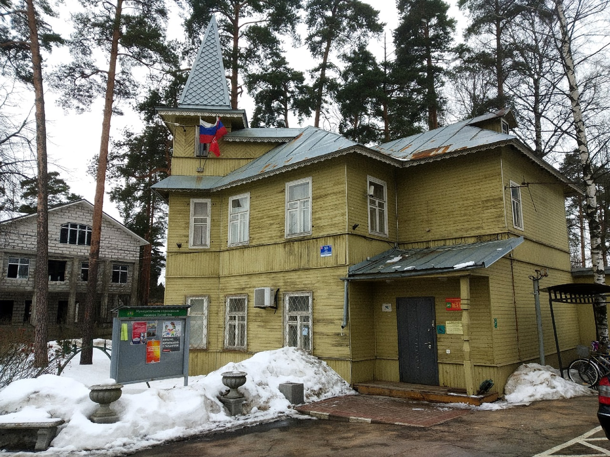 Поселок лисий нос санкт петербург. Санкт-Петербург, посёлок Лисий нос, деловая улица, 26. Лисий нос застройка. Лисий нос в профиль.