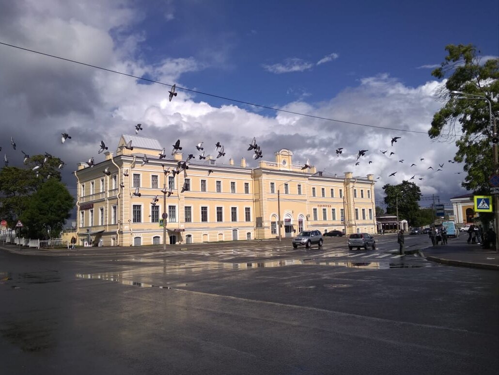 Ломоносов, голуби