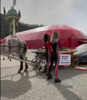  Сочи курорт Красная Поляна Тесла и телега