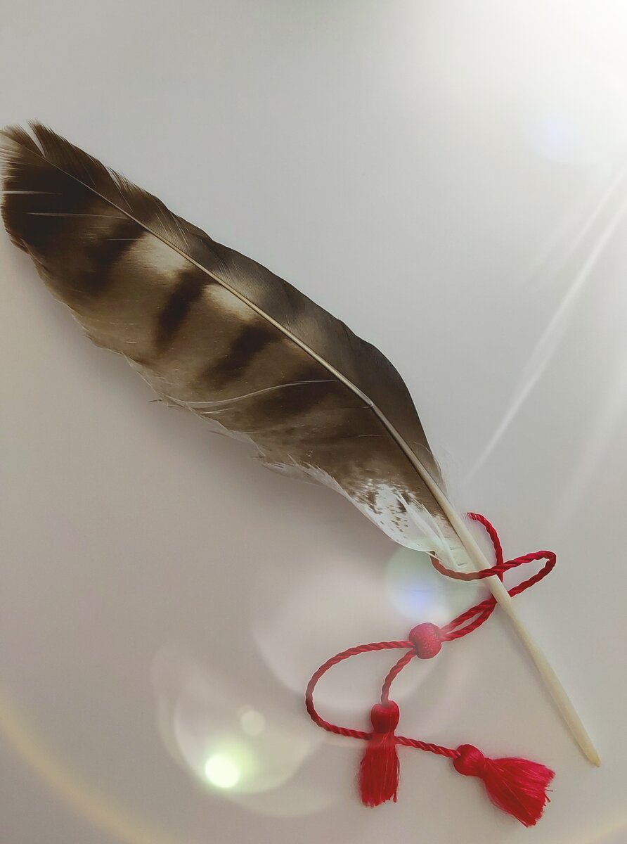 Фото автора статьи.