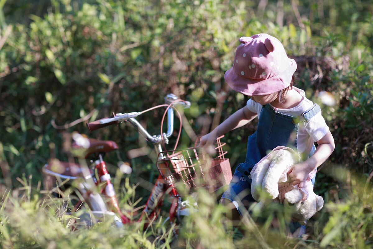 Изображение Hai Nguyen с сайта Pixabay 