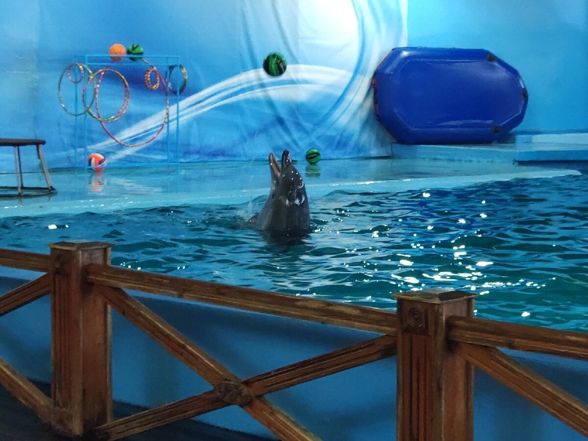 Внутри дельфинария 