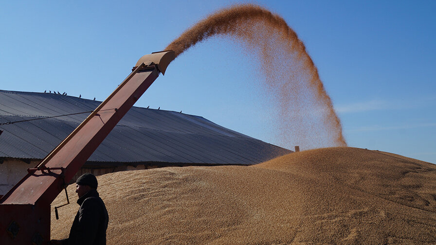 Фото: группа «Минсельхоз Хакасии» в соцсети «ВКонтакте»‌‌