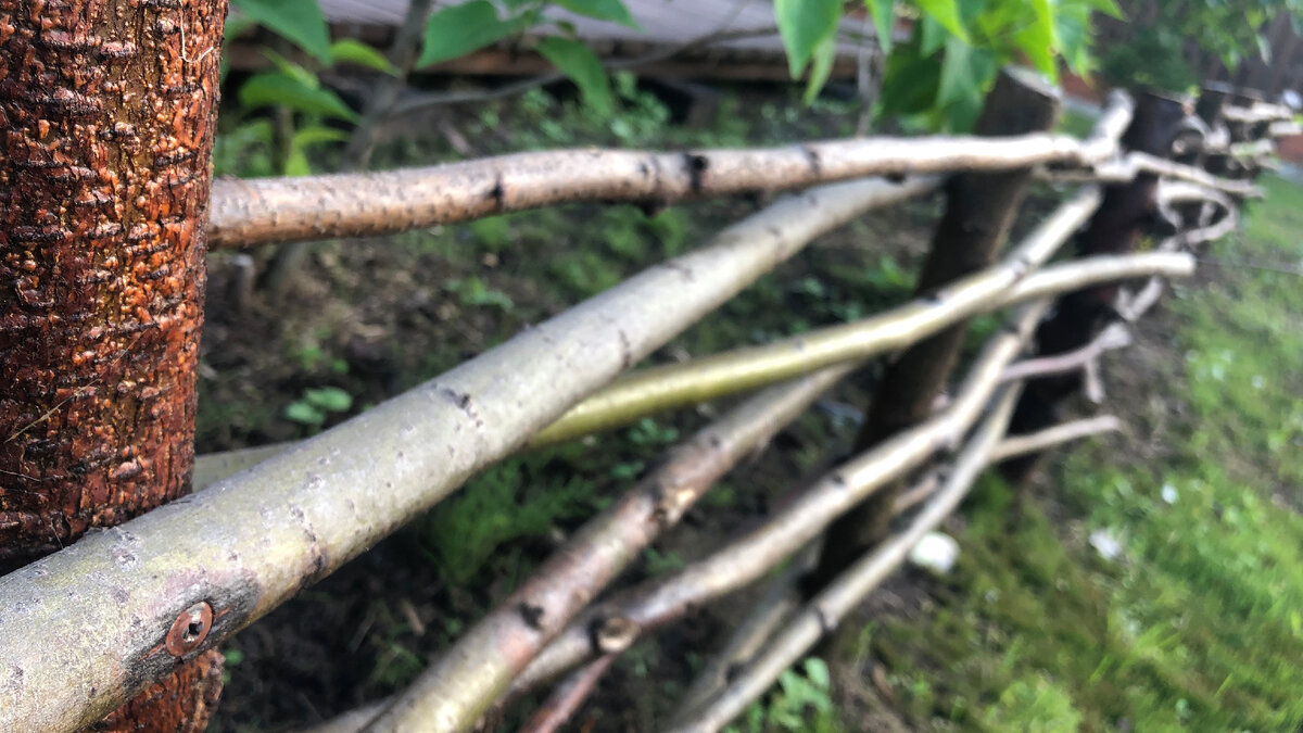 Декоративная изгородь