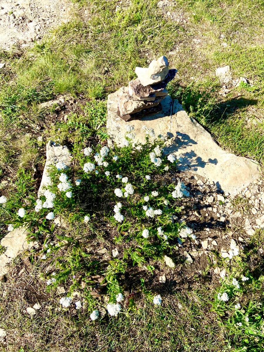 Поезд "Жемчужина Кавказа". Июль 2022