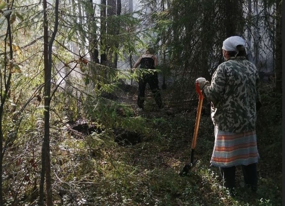    Фото: соцсети
