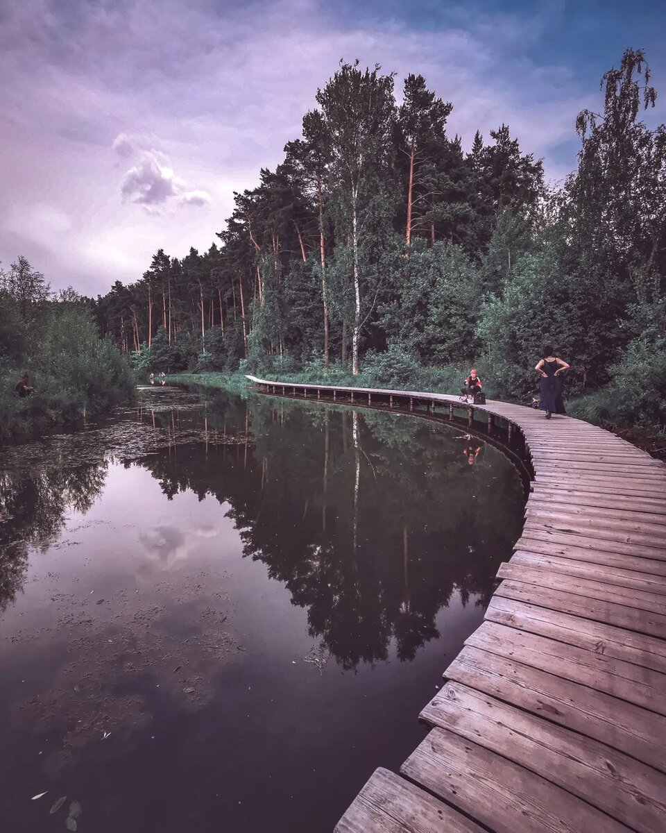 Мещерский парк поле