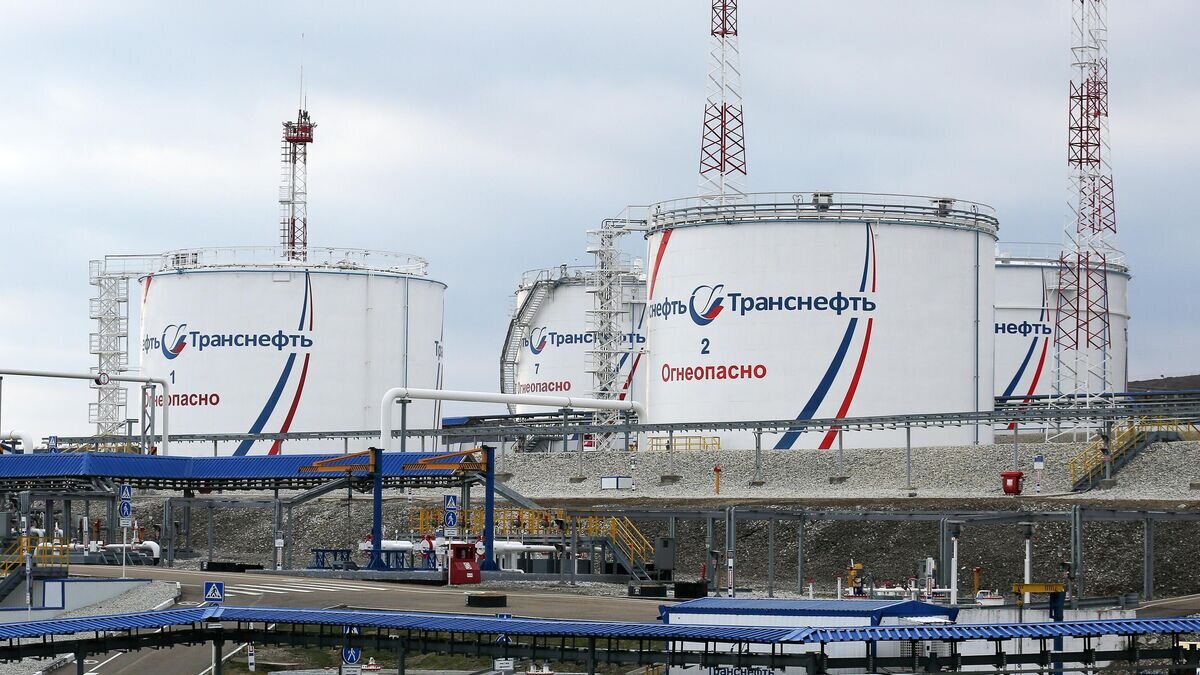    Перекачивающая станция компании "Транснефть"© РИА Новости / Виталий Тимкив