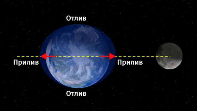 Источник: tainaprirody.ru 