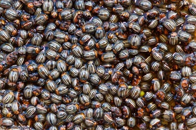 Картинка из яндекса 