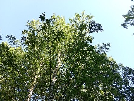 Фотография из личного архива автора