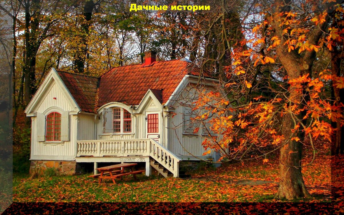 https://vk.com/photo-159774511_457255680