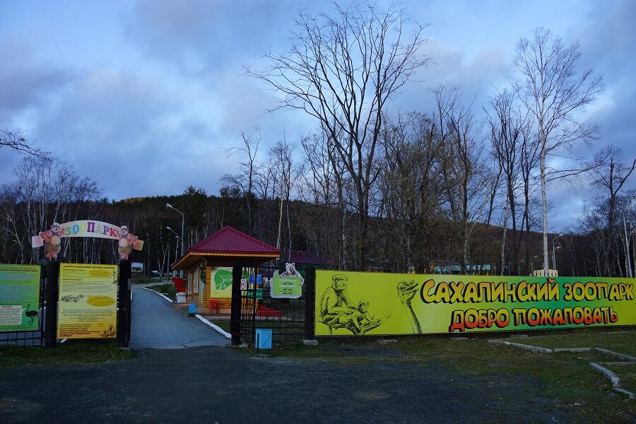 Зоопарк. Все фото мои