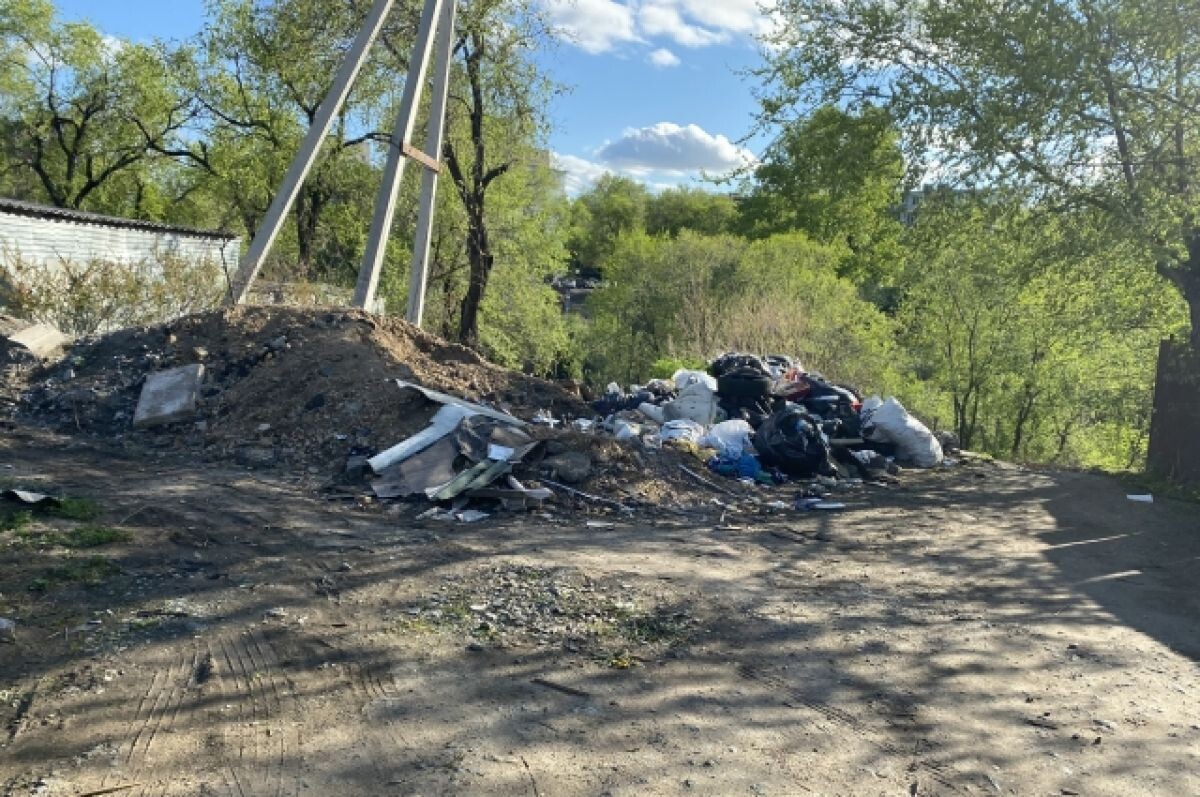    В Кольском районе ликвидировали свалку