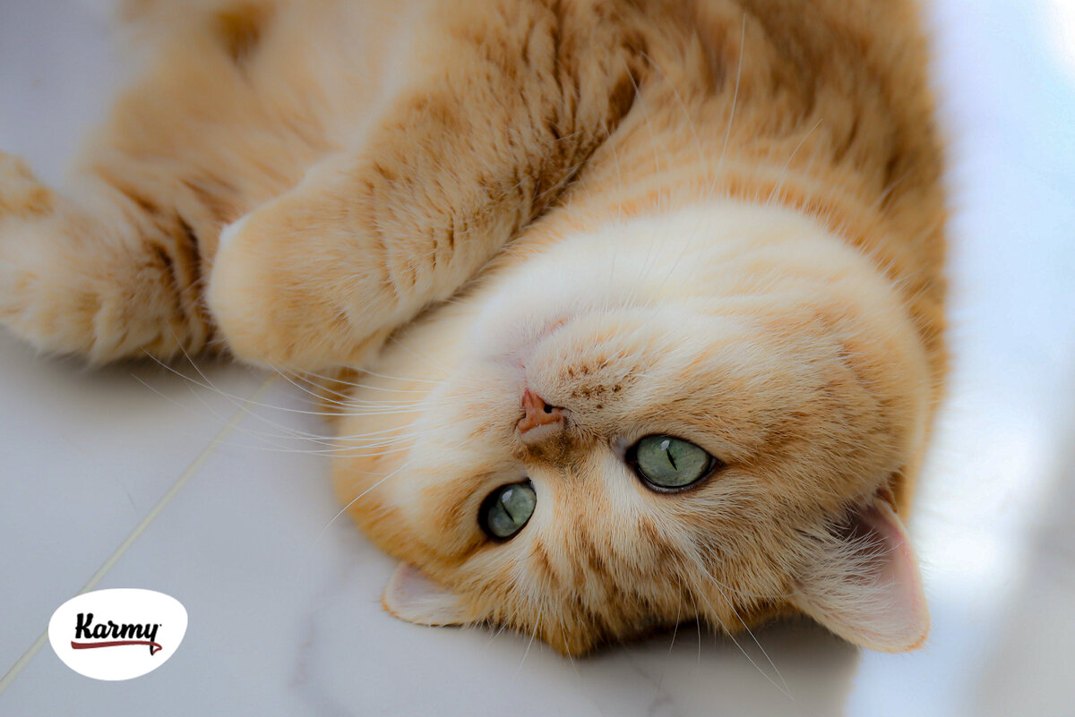 Авторское изображение с использованием картинки с фотостока "Unsplash"