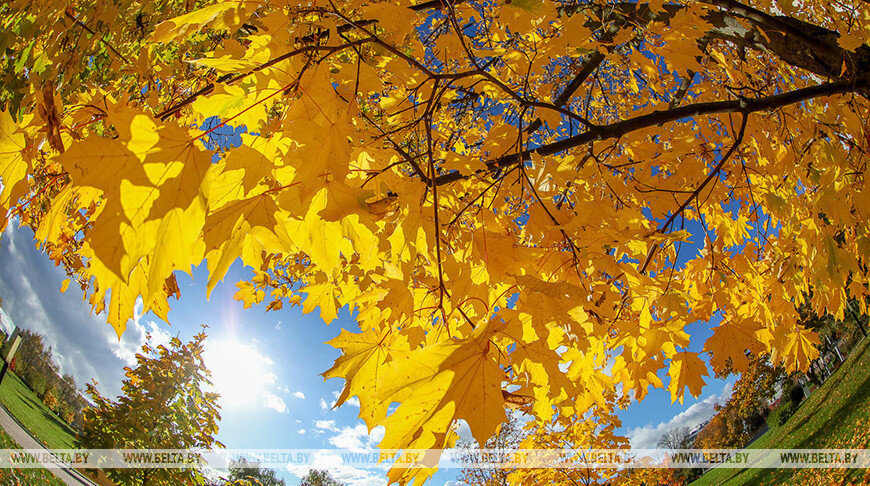    Фото из архива