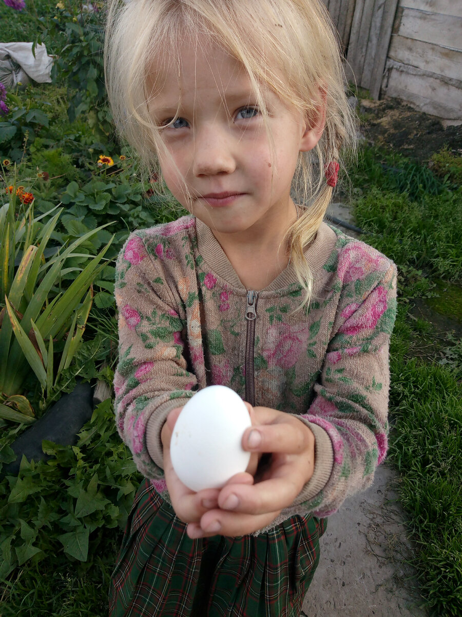 Важно найти хорошего поставщика яиц