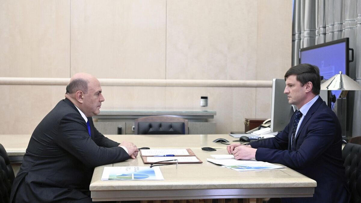    Премьер-министр РФ М. Мишустин встретился с главой Роскадастра В. Ждановым© РИА Новости / Александр Астафьев