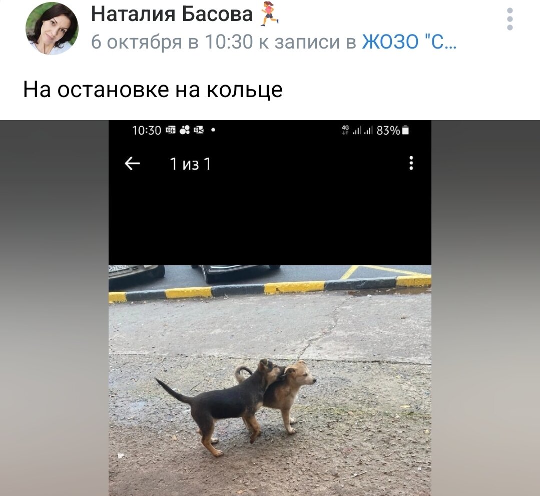 Коммент под одним из постов в сообществе