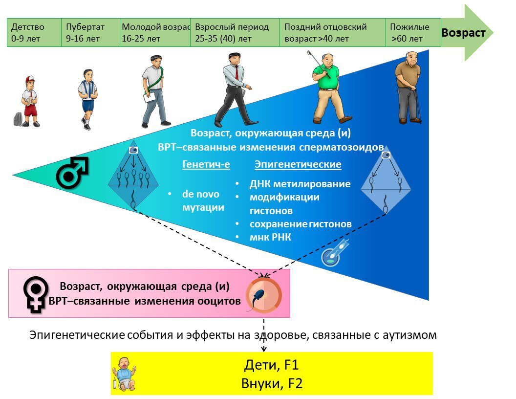 Пожилые отцы