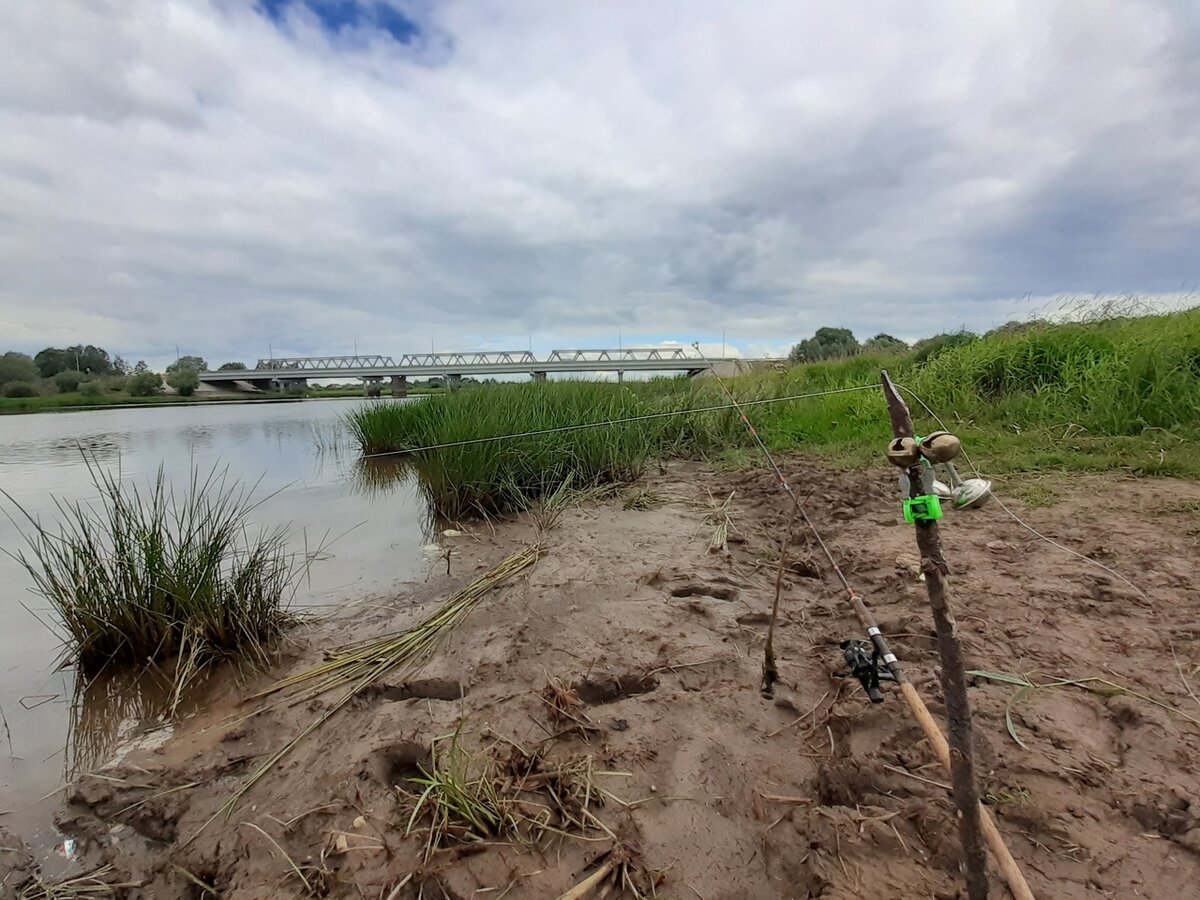 Данная фотография сделана на реке Малый Волховец. Вблизи города Великий Новгород.
